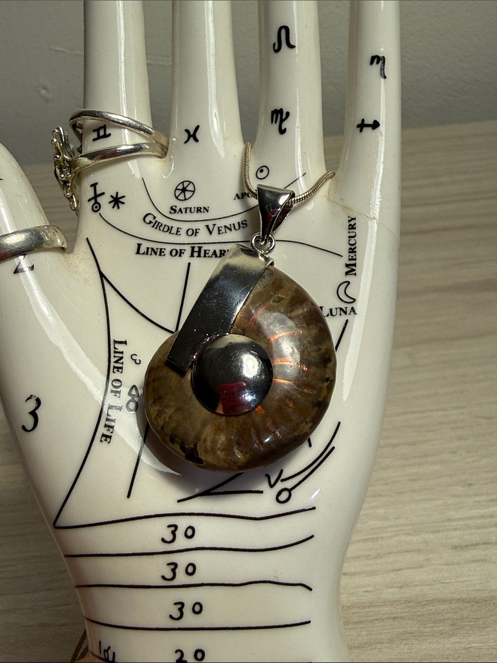 Pendant Ammonite Handcrafted Brown for Necklace *NO CHAIN*